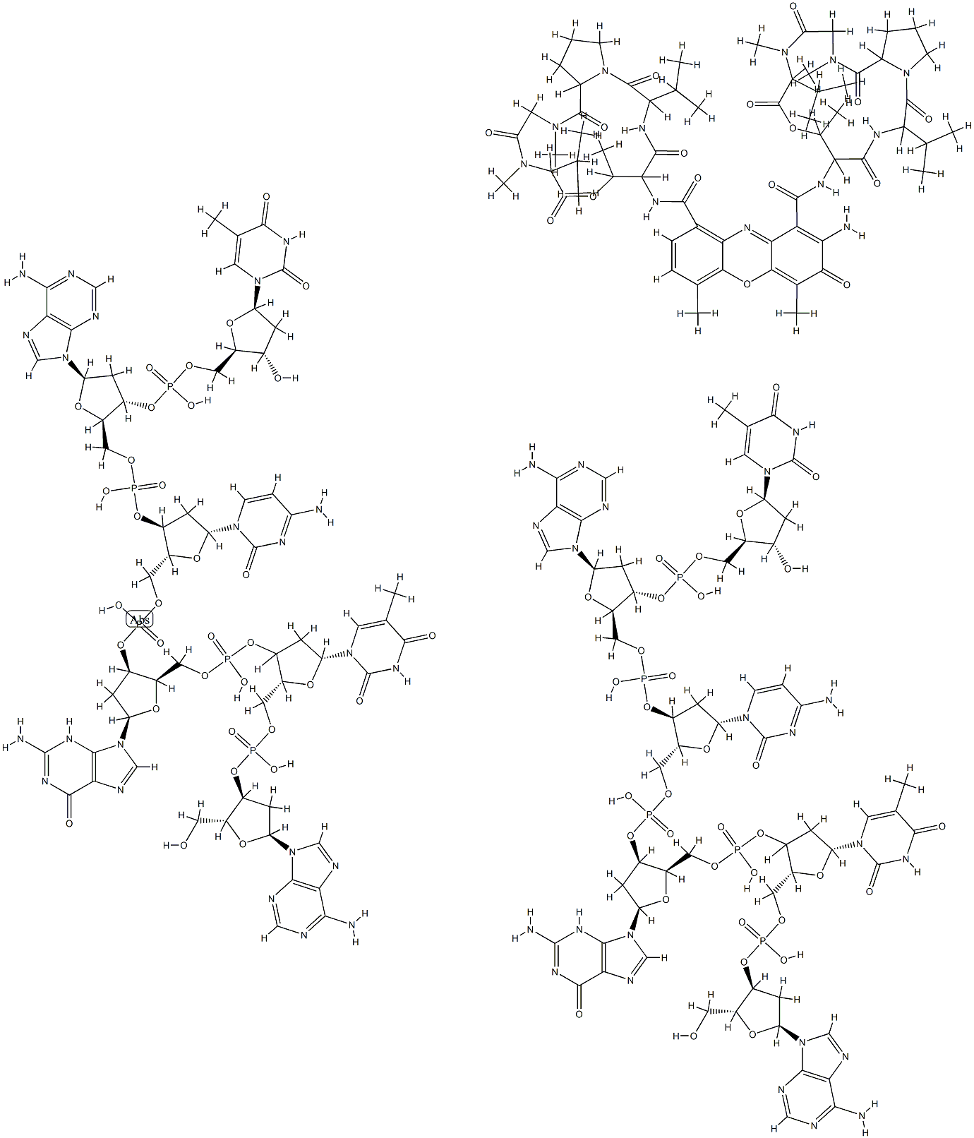 actinomycin D-dATGCAT complex Struktur