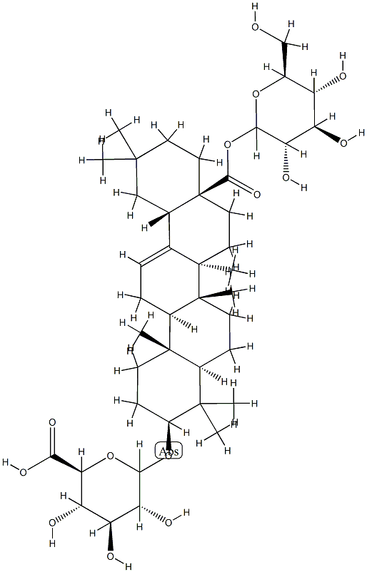 saparal Struktur