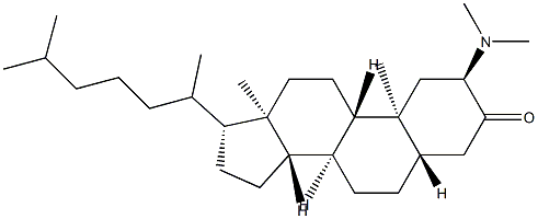 2β-(Dimethylamino)-5α-cholestan-3-one Struktur