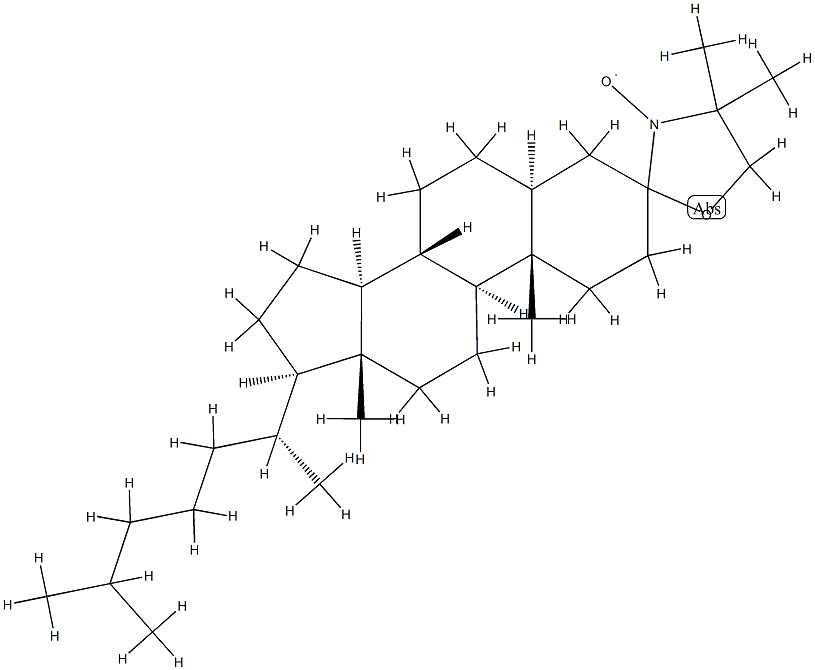 3BETA-DOXYL-5ALPHA-CHOLESTANE  FREE Struktur