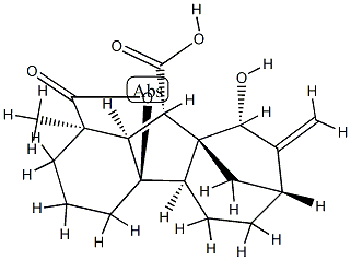 4aα,9β-Dihydroxy-1β-methyl-8-methylenegibbane-1α,10β-dicarboxylic acid 1,4a-lactone Struktur