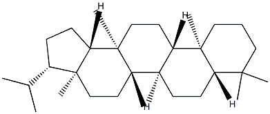 Arborane Struktur