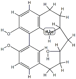 Tricyclo[12.3.1.12,6]nonadeca-1(18),2,4,6(19),14,16-hexene-3,9,11,17-tetrol Struktur