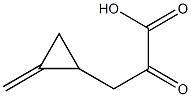 ketohypoglycin Struktur