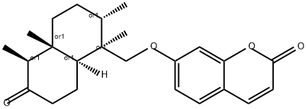 Kamolone Struktur