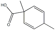 2,5-Cyclohexadiene-1-carboxylicacid,1,4-dimethyl-(9CI) Struktur