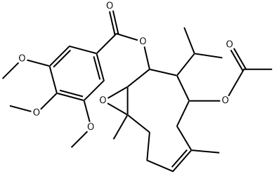 involucrin Struktur