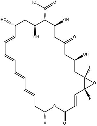 Natamycinolide Struktur