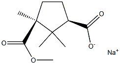 sodium 1-methyl cis-camphorate Struktur