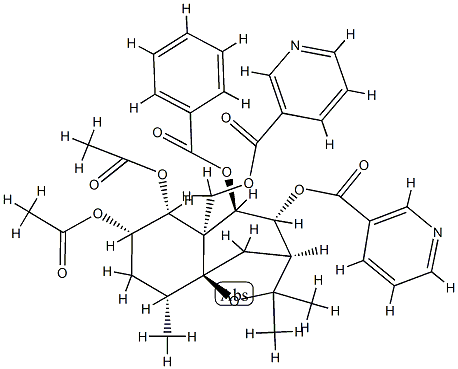 Catheduline E2 Struktur