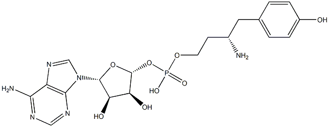 tyrosinyl-5'-AMP Struktur