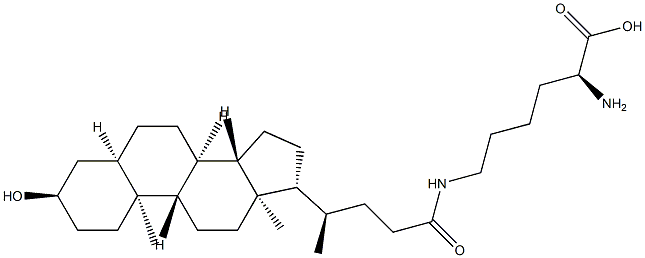 N-epsilon-lithocholyllysine Struktur