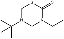 2H-1,3,5-Thiadiazine-2-thione,5-(1,1-dimethylethyl)-3-ethyltetrahydro-(9CI) Struktur