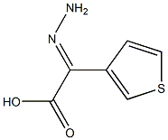 3-Thiopheneaceticacid,alpha-hydrazono-(9CI) Struktur