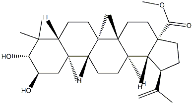 2α,3β-Dihydroxylup-20(29)-en-28-oic acid methyl ester Struktur