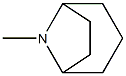 8-Azabicyclo[3.2.1]octane,8-methyl-,(8-anti)-(9CI) Struktur