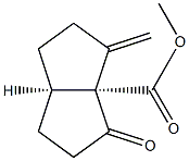 3a(1H)-Pentalenecarboxylicacid,hexahydro-3-methylene-4-oxo-,methylester,(3aR,6aR)-rel-(9CI) Struktur