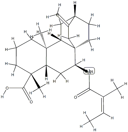 (4R,5β,8α,9β,10α,12α)-7β-[[(Z)-2-Methyl-1-oxo-2-butenyl]oxy]atis-16-en-18-oic acid Struktur