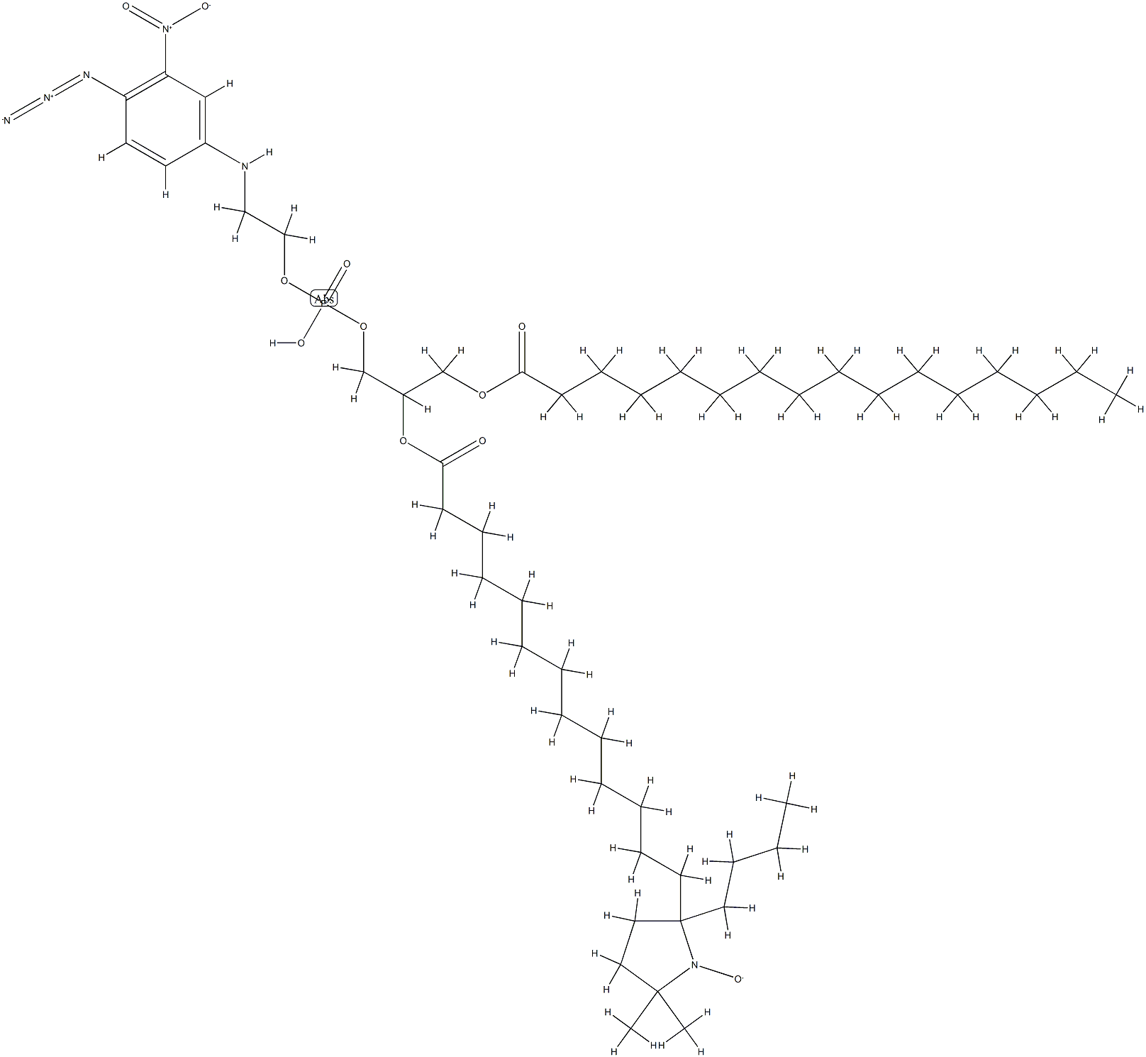 1-palmitoyl-2-(14-proxylstearoyl)glycero-3-phospho-N-(4-azido-3-nitrophenyl)ethanolamine Struktur