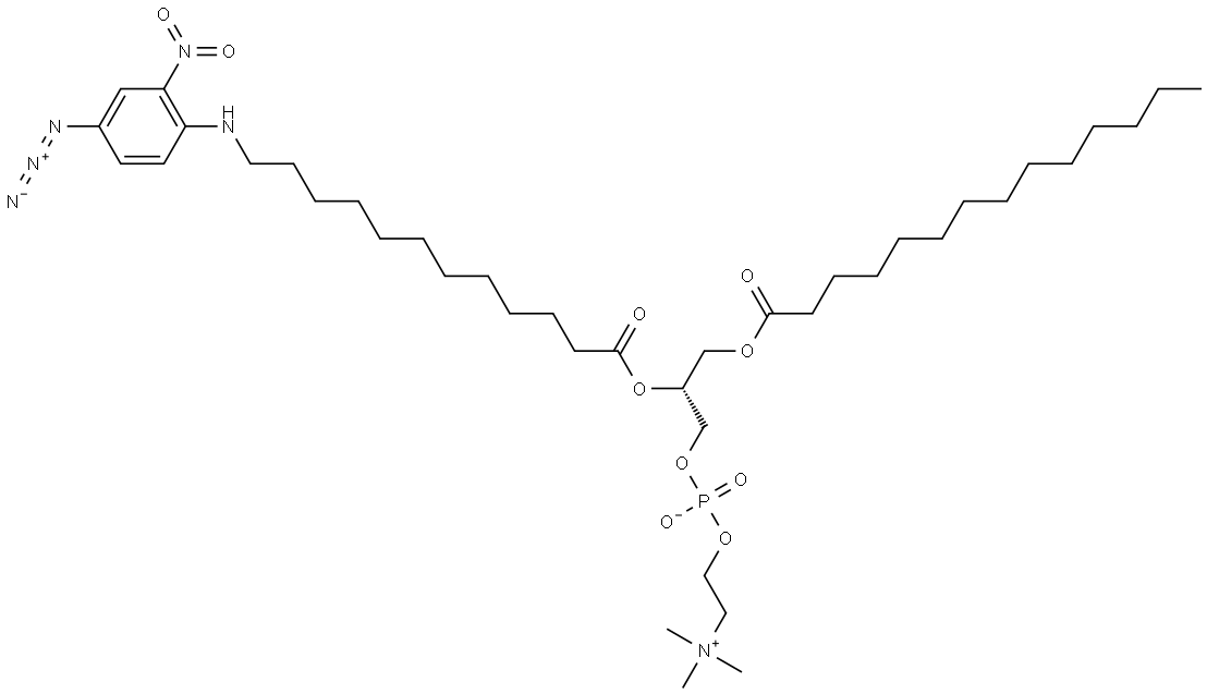 1-myristoyl-2-(12-N-(4-azido-2-nitrophenyl)aminododecanoyl)phosphatidylcholine Struktur