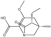 1-Azabicyclo[3.2.1]oct-2-ene-2-carboxylicacid,6-ethyl-3-methoxy-7-oxo-,(1R,5S,6S)-rel-(9CI) Struktur