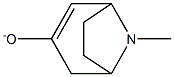 8-Azabicyclo[3.2.1]oct-2-en-3-ol,8-methyl-(9CI) Struktur