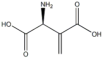 beta-methyleneaspartate Struktur