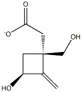 Cyclobutanemethanol, 3-hydroxy-2-methylene-, alpha-acetate, (1S,3S)- (9CI) Struktur