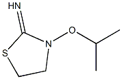 2-Thiazolidinimine,3-(1-methylethoxy)-(9CI) Struktur