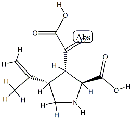 alpha-ketokainic acid Struktur