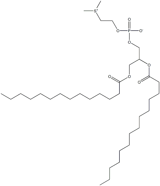 dimyristoylphosphatidylsulfocholine Struktur