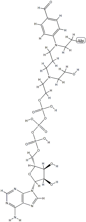 ClRpppA Struktur