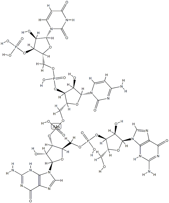 GpGpCpUp Struktur