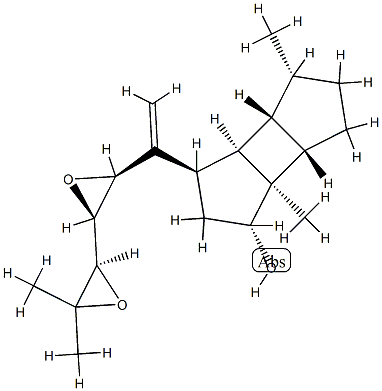 spatol Struktur