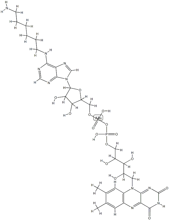 N(6)-aminohexyl-flavin adenine dinucleotide Struktur