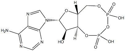 cyclic adenosine 3',5'-diphosphate Struktur