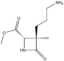 2-Azetidinecarboxylicacid,3-(3-aminopropyl)-3-methyl-4-oxo-,methylester,(2R,3S)-rel-(9CI) Struktur