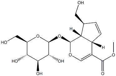 (1S)-1-(β-D-Glucopyranosyloxy)-1,4aα,7,7aα-tetrahydro-7α-hydroxymethylcyclopenta[c]pyran-4-carboxylic acid methyl ester Struktur