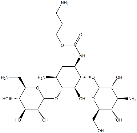 1-N-(3-aminopropoxycarbonyl)kanamycin A Struktur