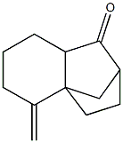 7H-2,4a-Methanonaphthalen-7-one,octahydro-3-methylene-(9CI) Struktur