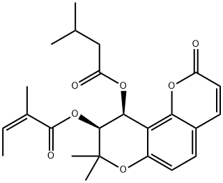 PRAERUPTORIN E Struktur