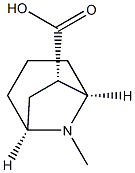 8-Azabicyclo[3.2.1]octane-6-carboxylicacid,8-methyl-,(1R,5S,6R)-rel-(9CI) Struktur