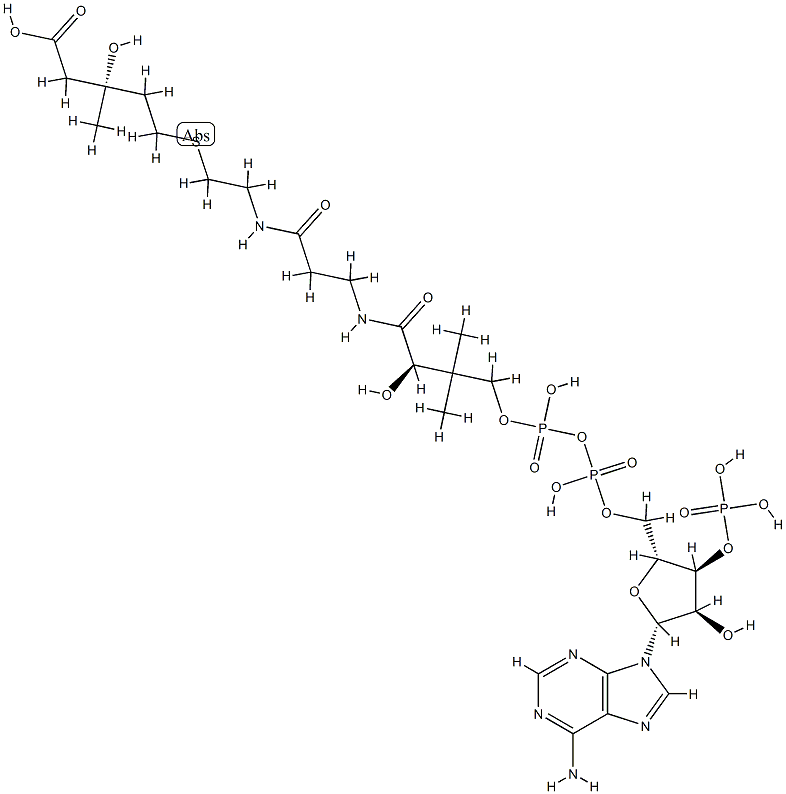 3-hydroxy-3-methyl-4-carboxybutyl-coenzyme A Struktur