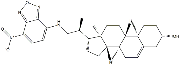 22-NBD CHOLESTEROL Struktur