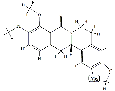 gusanlung B Struktur