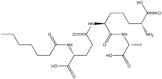 FK 565 Struktur