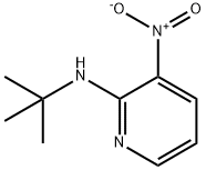 N-tert-butyl-3-nitropyridin-2-amine price.