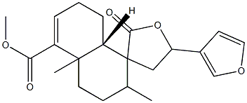 sonderianin Struktur