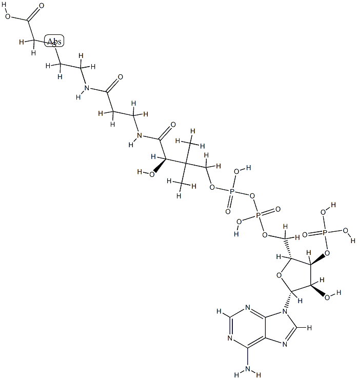 carboxymethyl-coenzyme A Struktur