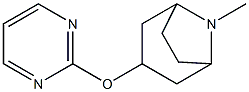 8-Azabicyclo[3.2.1]octane,8-methyl-3-(2-pyrimidinyloxy)-(9CI) Struktur